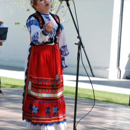 Dni Ukrajiny 2015