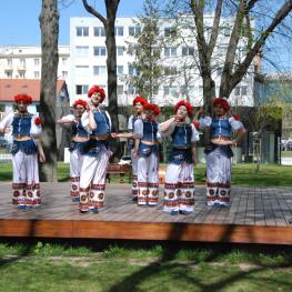 Dni Ukrajiny 2015