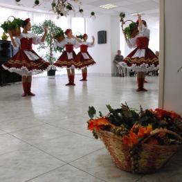 Dni Ukrajiny 2015