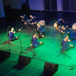 Dni Ukrajiny 2015