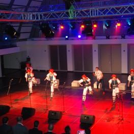 Dni Ukrajiny 2015