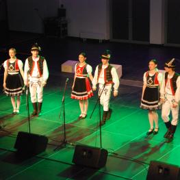 Dni Ukrajiny 2015