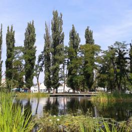 Історичне озеро в міському парку